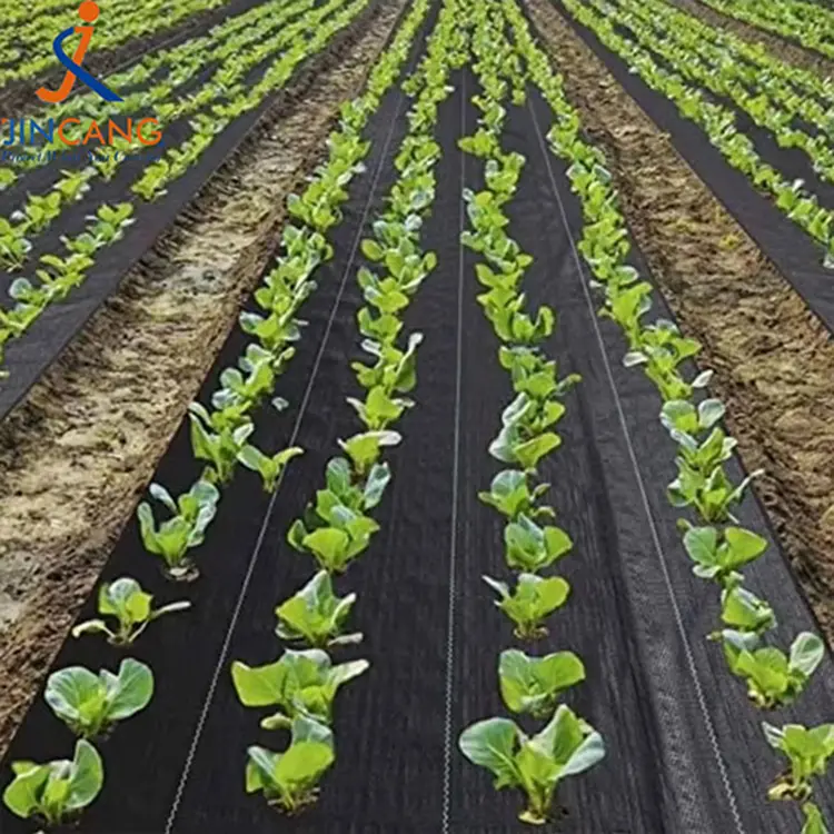 Anti -maconha pano de pano peito maconha de ervas daninhas tapete